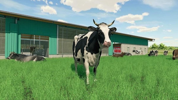 image gameplay farming simulator 22